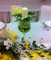 /album/fotogaleria/a110720142082-jpg/